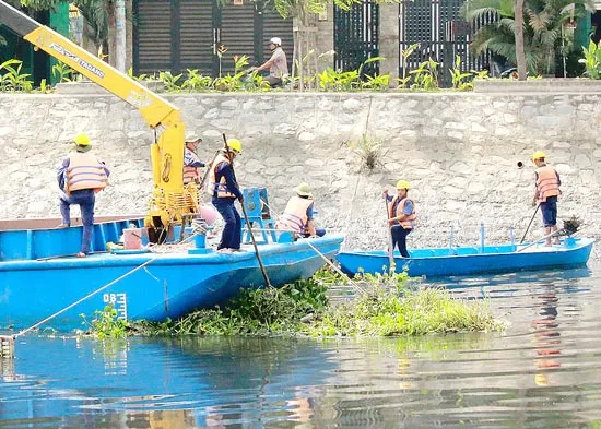 Chờ… máy cắt lục bình