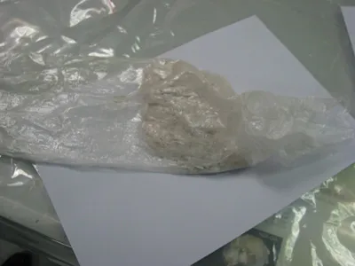 Bắt giữ vụ vận chuyển trái phép 1,73 kg cocain