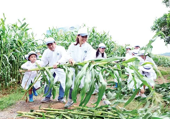 Tận hưởng một ngày rất khác tại trang trại bò sữa chuẩn quốc tế