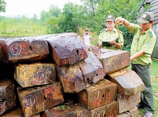 Buông lỏng quản lý rừng đặc dụng
