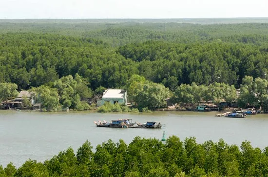 Kêu gọi tư nhân tham gia trồng rừng