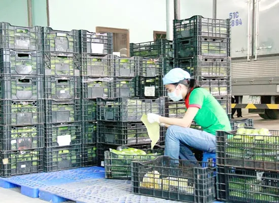 Hình thành nhiều chuỗi thực phẩm an toàn