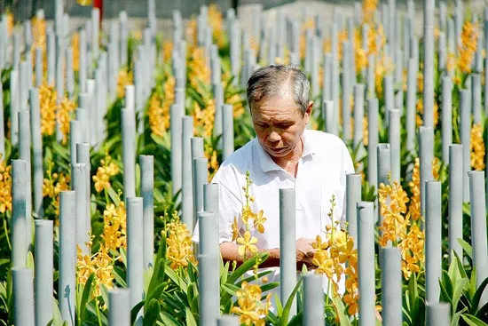 Không để “có lỗi” với kênh Đông…