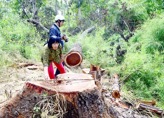 Tan nát rừng sinh thái Bản Đôn