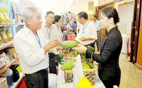 Hợp tác thương mại giữa TPHCM và các tỉnh, thành: Hiệu quả, ấn tượng