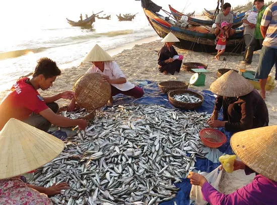 Làng biển Ngư Thủy Nam ảnh 3