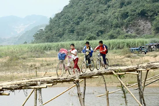 Run run qua cầu tạm bằng tre nứa
