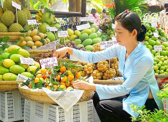 Tái cơ cấu nông nghiệp nông thôn: Tái cơ cấu chính sách