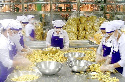 Dried fruit production at Vinamit Company (Photo: SGGP)