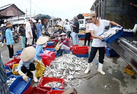 Fresh fish piled up for sale at the Long Hai Fishing Port, Ba Ria-Vung Tau Province. Five fisheries centres planned to be built by 2020 are expected to improve the quality of fish and seafood. — VNA/VNS Photo Huy Hung