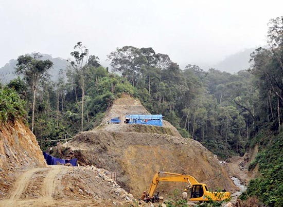 Thousands of hectares of forest have been chopped down to build a hydropower plant (Photo: SGGP)