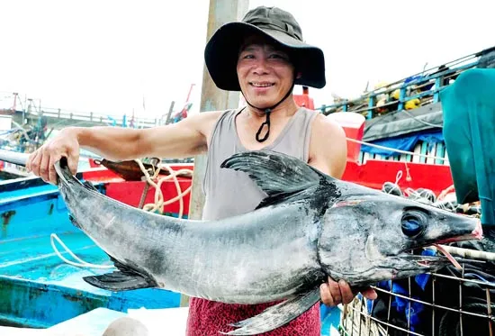 Ngư dân phấn khởi ảnh 3