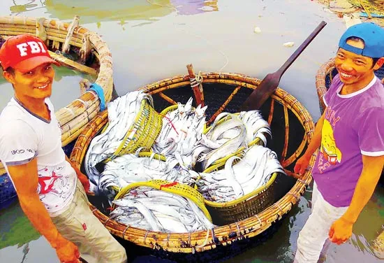 Ngư dân phấn khởi ảnh 6