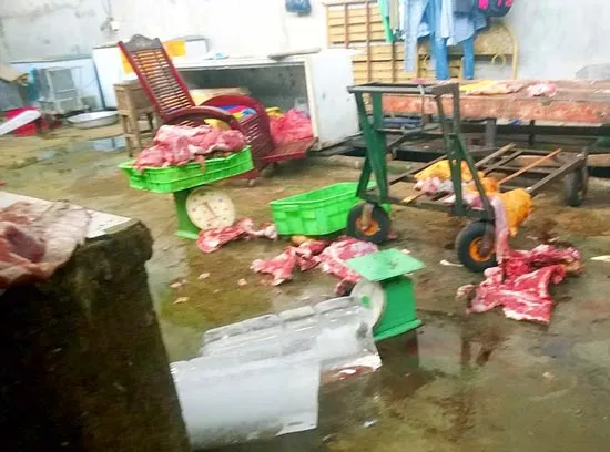 “Rừng thú hoang dã” Bình Hoa, Long Nga