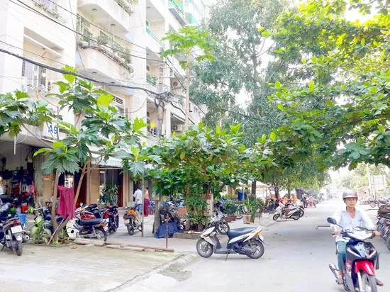Cấp giấy chủ quyền vẫn chưa thông