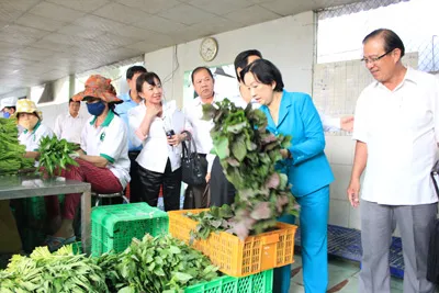 Điêu đứng trước thông tin rau VietGAP “dỏm”