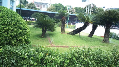 Cả 3 nhà máy của Vinamilk ở TPHCM được nhận Giải thưởng môi trường của thành phố năm 2014 ảnh 2