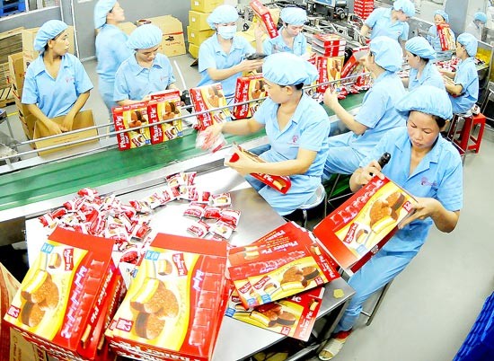 Cake production for Tet holidays at a Vietnamese business (Photo: SGGP)