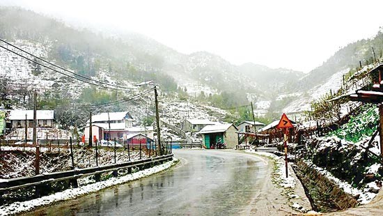 Snow shoulders over Tram Ton- Thac Bac and Hoang Lien Son mountain pass since early hours today morning. (Photo: SGGP)