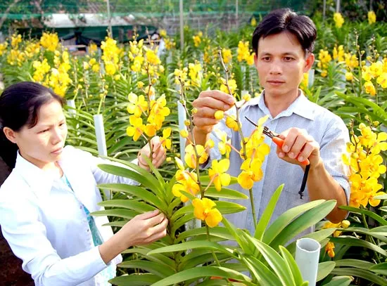 Bài 1: Rút ngắn khoảng cách nông thôn - đô thị