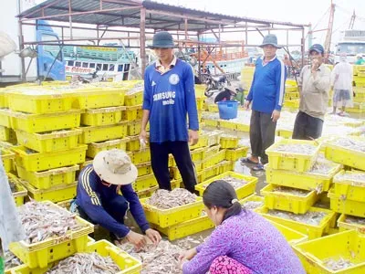 Sóc Trăng tạo hấp lực từ kinh tế biển