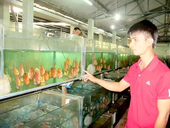 Nghị quyết làm giàu cho dân