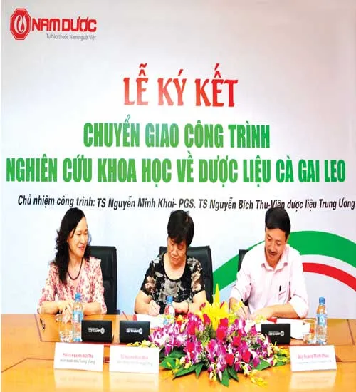 Chuyển giao thành công đề tài nghiên cứu cấp Nhà nước về thảo dược hỗ trợ điều trị viêm gan virus