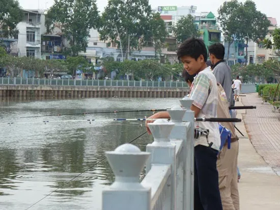 Một người thả cá, chục người câu!