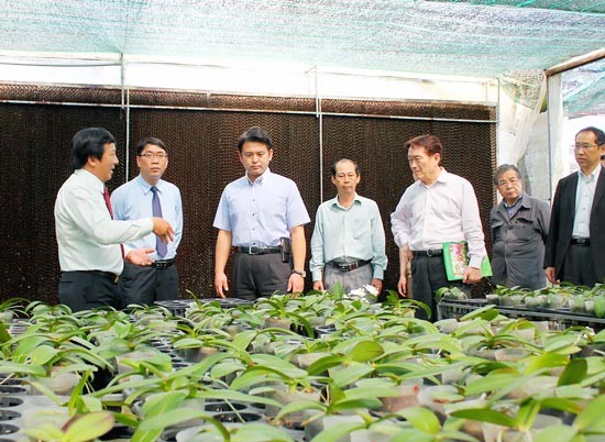 Foreign companies learn about safe vegetable growing technology at HCMC Hi-Tech Agricultural Park (Photo: SGGP)