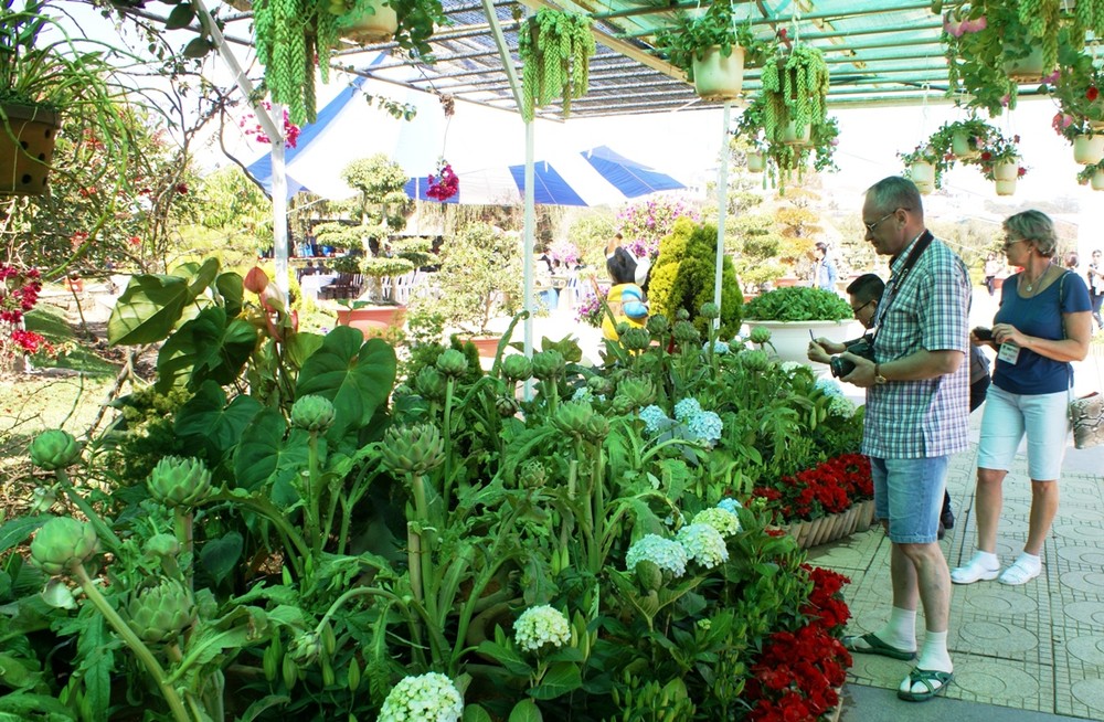 Foreigners visit Da Lat Spring Flower Festival on February 14 -Photo: Nam Vien