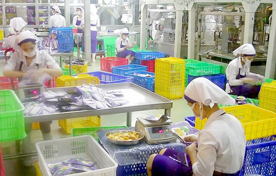 A jackfruit drying line of Vinamit Company in the southern province of Binh Duong (Photo: SGGP)