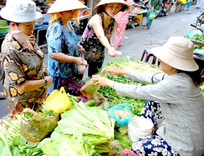 Vegetable prices have reduced after Tet holidays (Photo: SGGP)