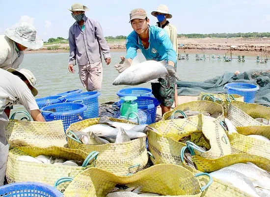 Thú y thủy sản thiếu và yếu