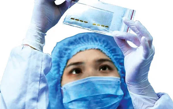 Toa thuốc sinh học cho người Việt