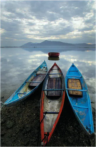 Đi - Luật bù trừ của hạnh phúc và ... ảnh 3