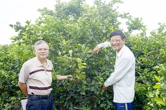 Trại Chanh bên bờ sông Vàm Cỏ