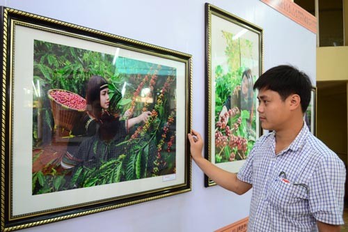 “Journey of Buon Ma Thuot Coffee” photographic exhibition. (Photo:SGGP)