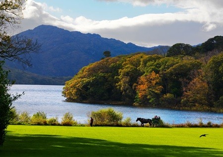 Picturesque: The Lakes of Killarney are a renowned scenic attraction in Ireland. — Photo courtesy of Tourism Ireland