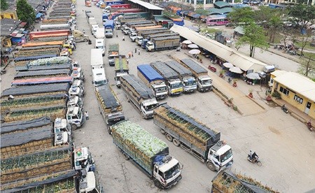 Lorries transport vegetable and fruit near the Tan Thanh Border Gate in the northern mountainous province of Lang Son. Prime Minister Nguyen Tan Dung has approved a broad plan to establish a new economic corridor to enable goods to flow more freely between Viet Nam, China and Cambodia. — VNA/VNS Photo Hoang Hai