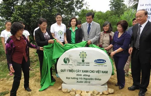 Trồng hơn 13.000 cây xanh tại Vũng Chùa