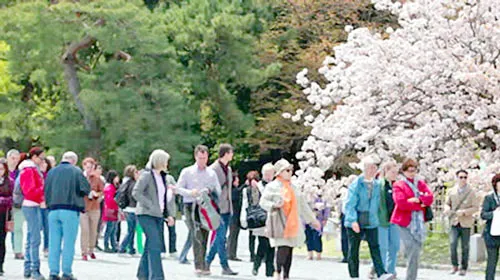 Thành công sau thảm họa