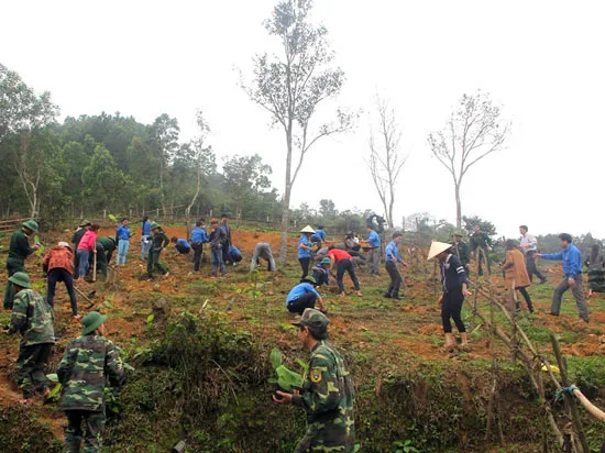 Trồng mới hơn 1.500 cây chuối cao sản giúp người dân tộc Chứt