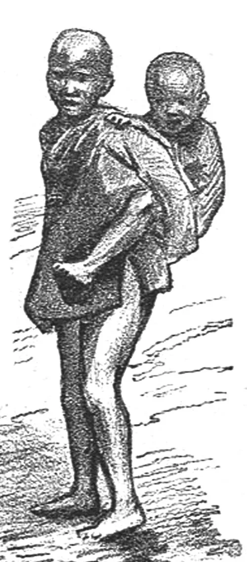 Hà Nội xưa - Bưu thiếp Những di sản hóa thạch ảnh 13