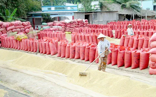 Ì ạch liên kết vùng