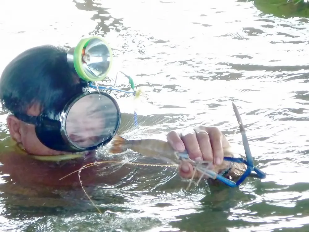 Nỗi niềm ngư phủ