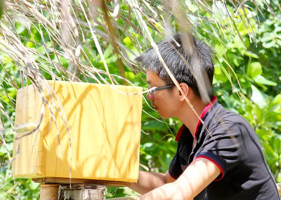 Trạm thu sóng trên trụ cây