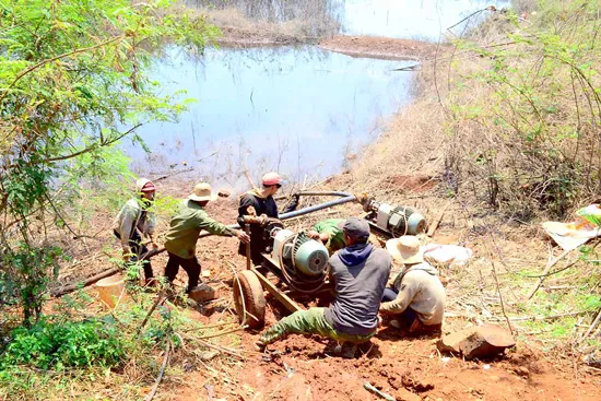Tây Nguyên căng mình chống hạn