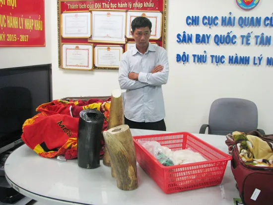 TPHCM bắt giữ nhiều lô hàng ngà voi, sừng tê giác vận chuyển trái phép
