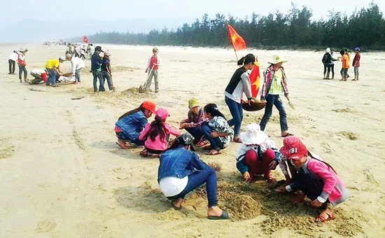Hà Tĩnh: Dọn sạch xác sò, ốc ở bãi biển