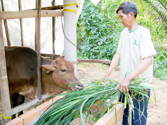 Chung sức giảm nghèo